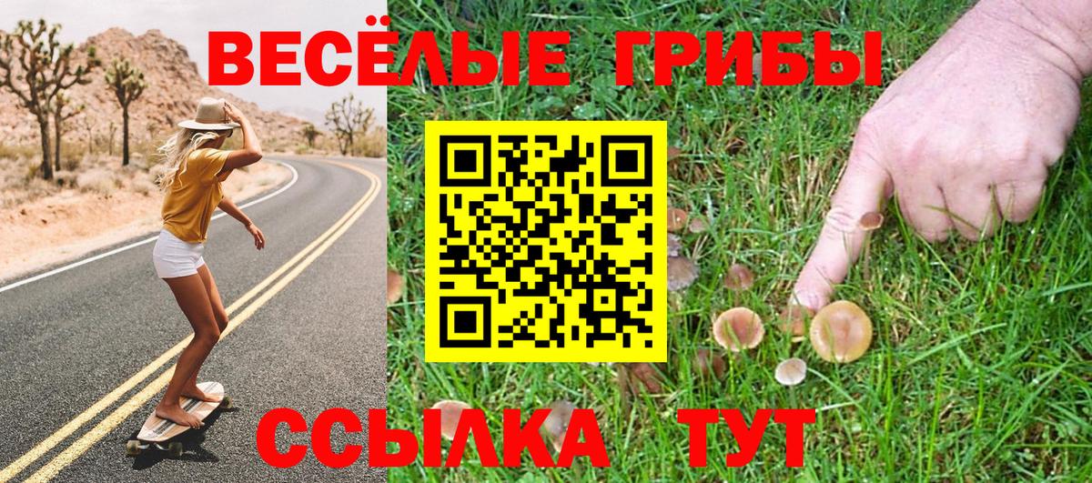 Большой Камень  Галлюциногенные грибы Psilocybe  Вход с VPN  Галлюциногенные грибы MAGIC MUSHROOMS 