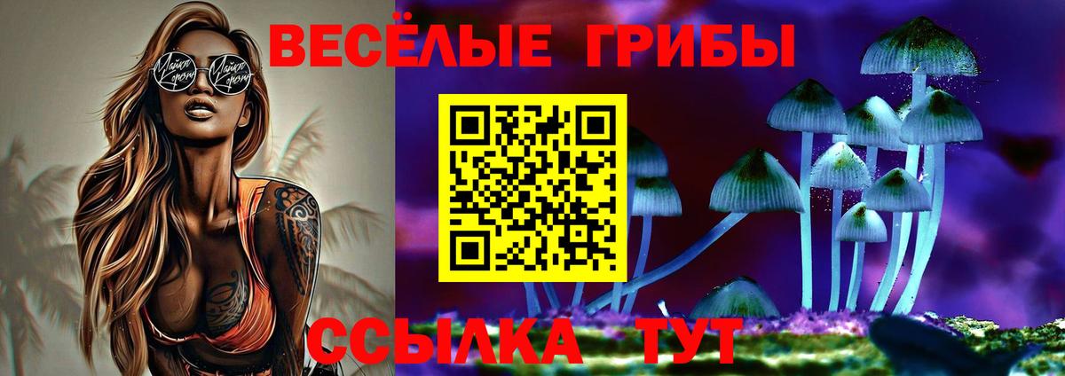 Галлюциногенные грибы Magic Shrooms Большой Камень